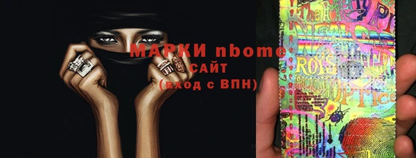 индика Краснотурьинск