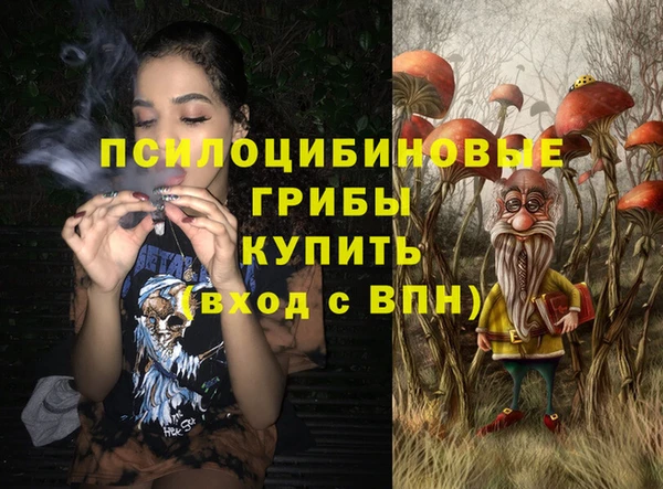 гидра Красноперекопск