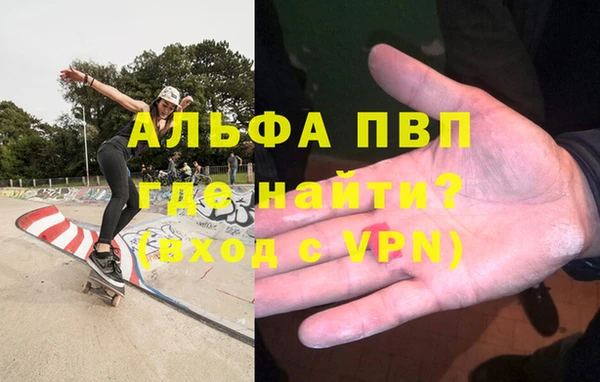 индика Краснотурьинск