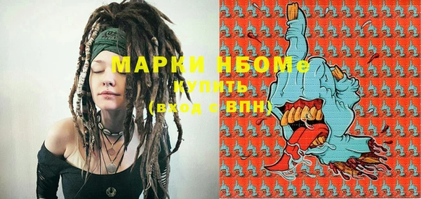 индика Краснотурьинск