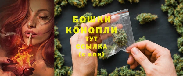 индика Краснотурьинск