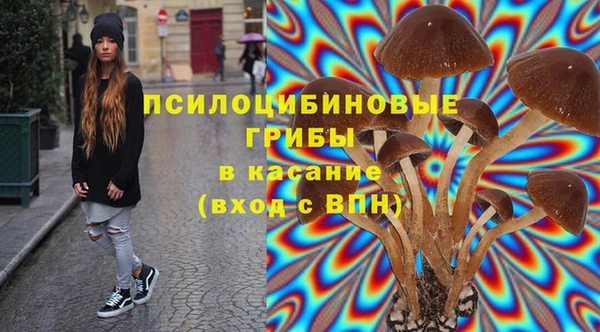 гидра Красноперекопск