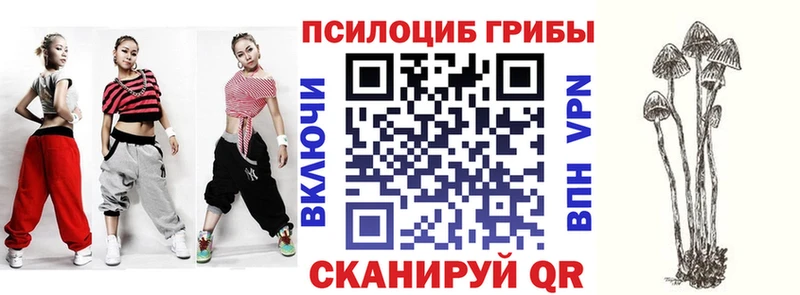 что такое   Елизаветинская  Галлюциногенные грибы GOLDEN TEACHER 